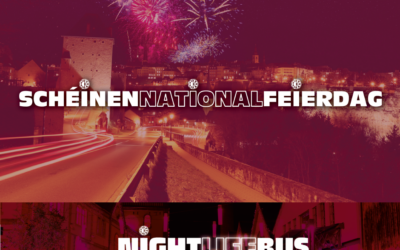 NightLifeBus – Nationalfeierdag